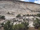 PICTURES/Burr Trail/t_Burr Trail - Big Rabbit Poop1.JPG